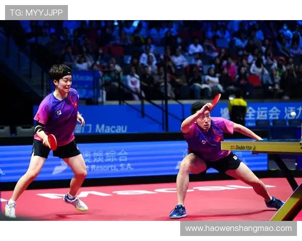 广州乒乓球队个人能力排名创新高展现新一代乒乓球实力